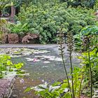 Impressionen - Lost Gardens of Heligan