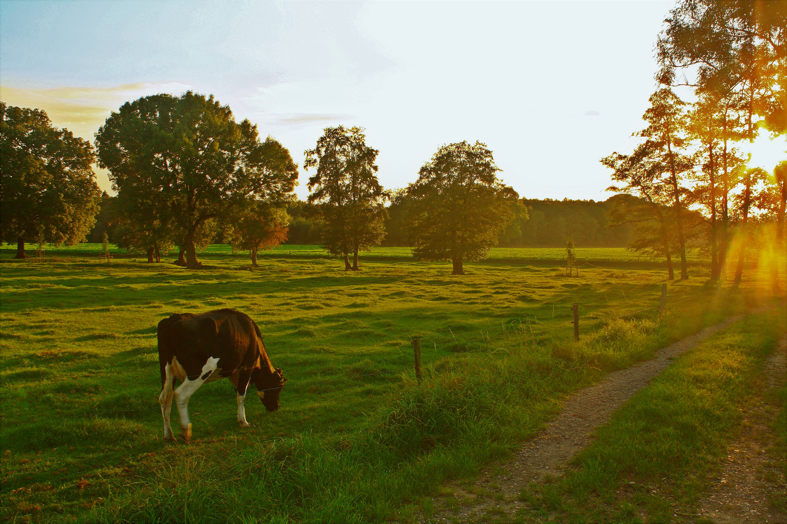 Impressionen Niederrhein