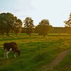 Impressionen Niederrhein