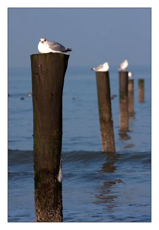 Impressionen Norderney 1