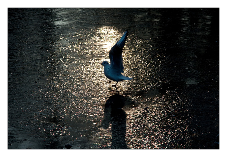 Impressionen Norderney 3