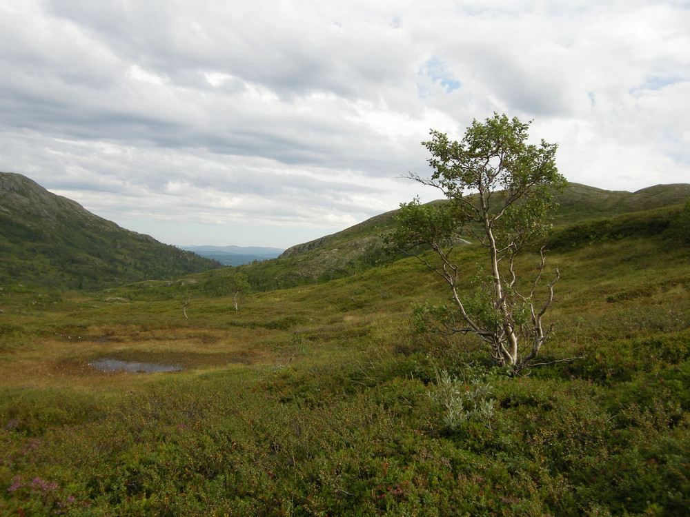 impressionen Norwegen