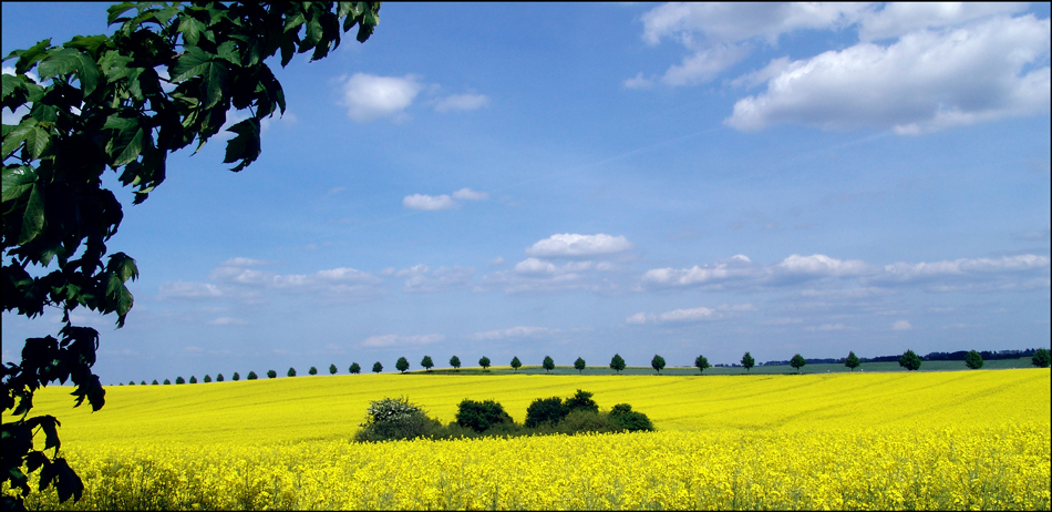 Impressionen Oder-Neiße-Radweg #5