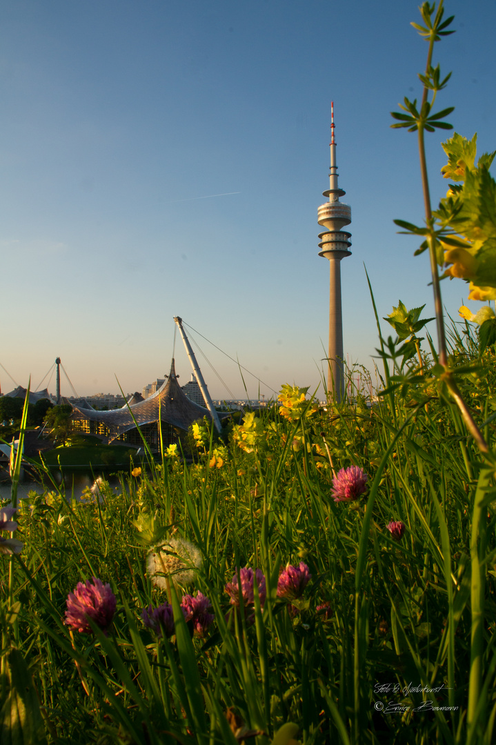 Impressionen Olympiapark München