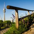 Impressionen Olympiapark München