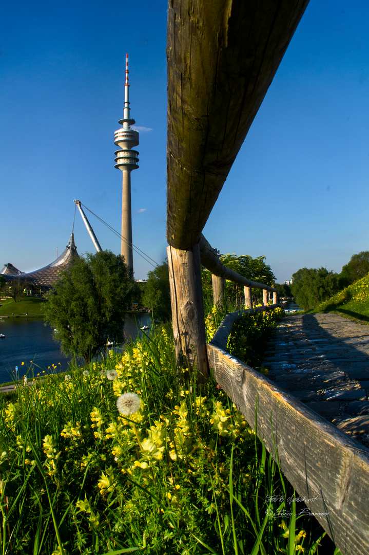 Impressionen Olympiapark München