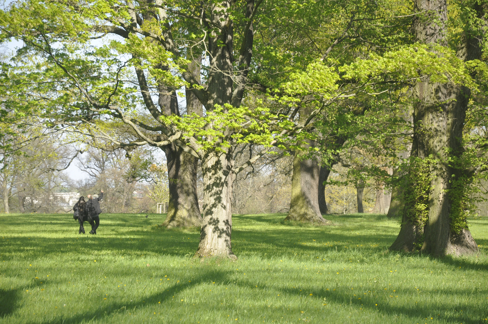 Impressionen Rosensteinpark