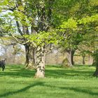 Impressionen Rosensteinpark