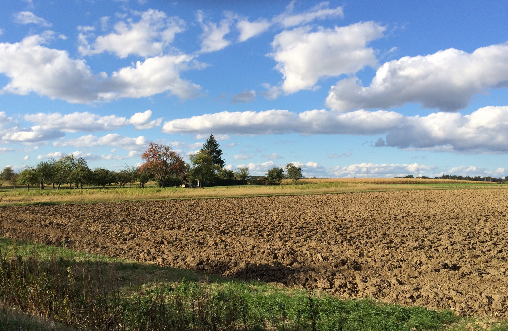 IMPRESSIONEN rund um die schwäbische Alb 1