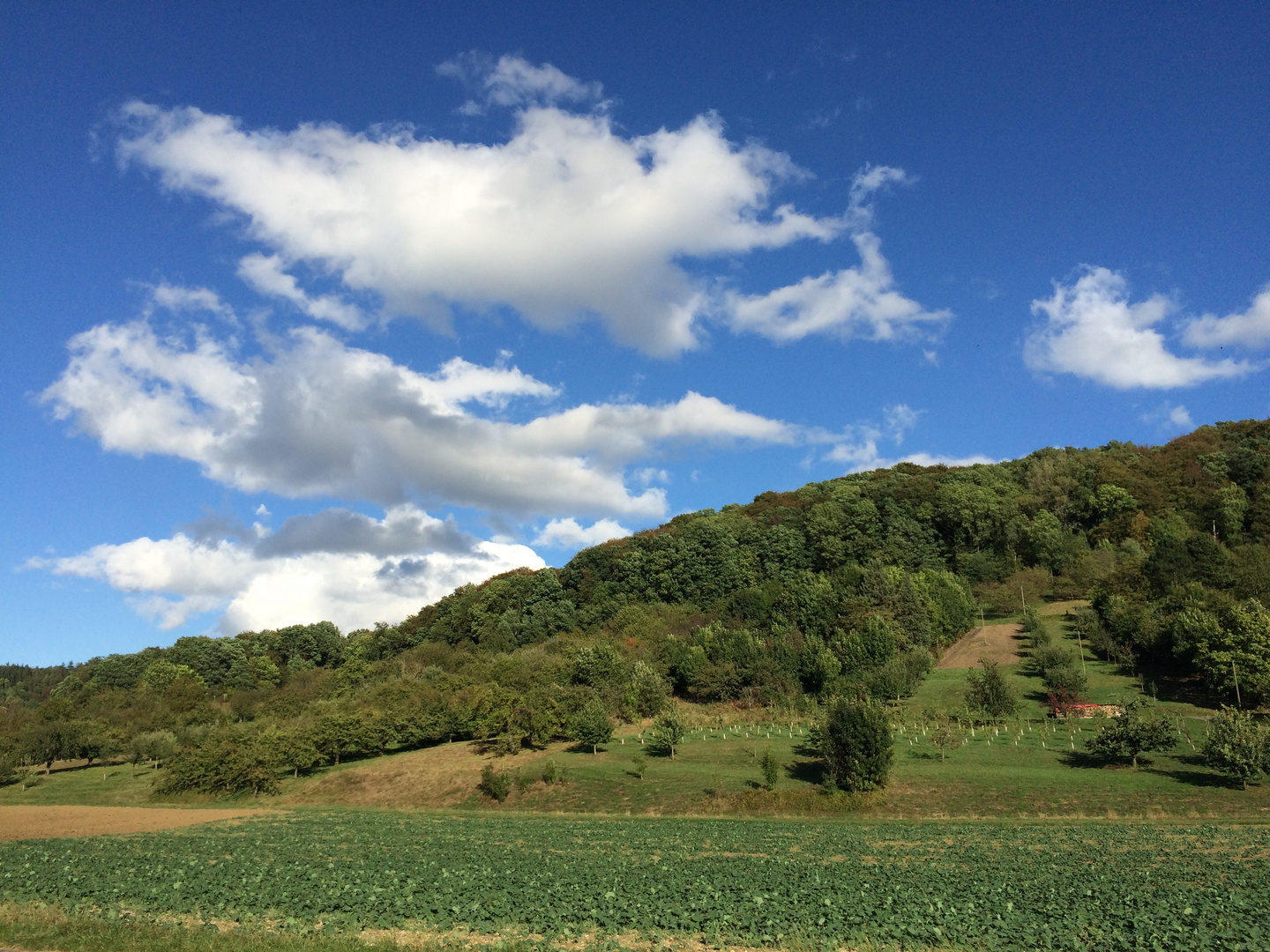 IMPRESSIONEN rund um die schwäbische Alb 2