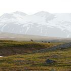 Impressionen Sarek IV