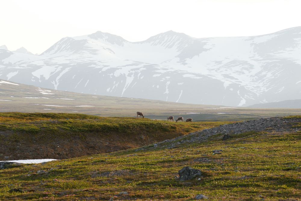 Impressionen Sarek IV