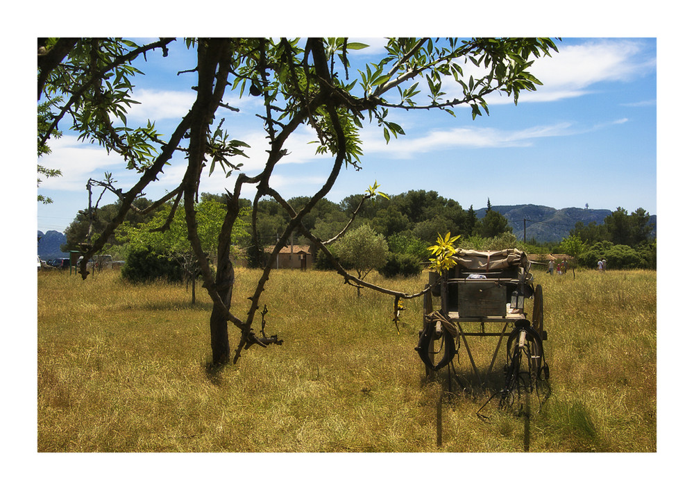 Impressionen St-Rémy-de-Provence 2