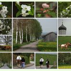 Impressionen vom 1. Mai