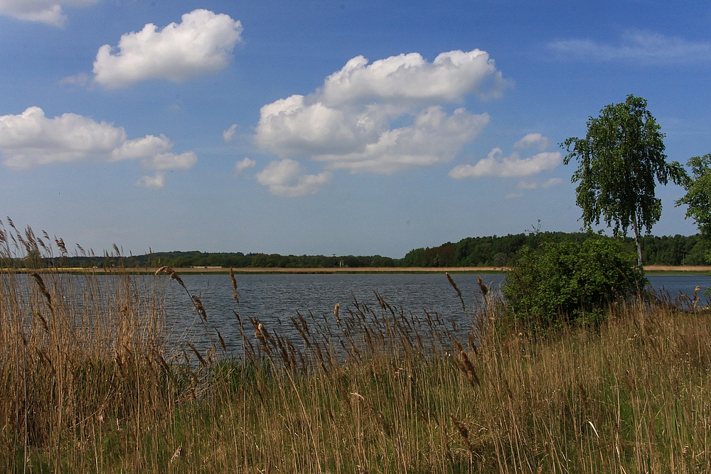 Impressionen vom Achterwasser...