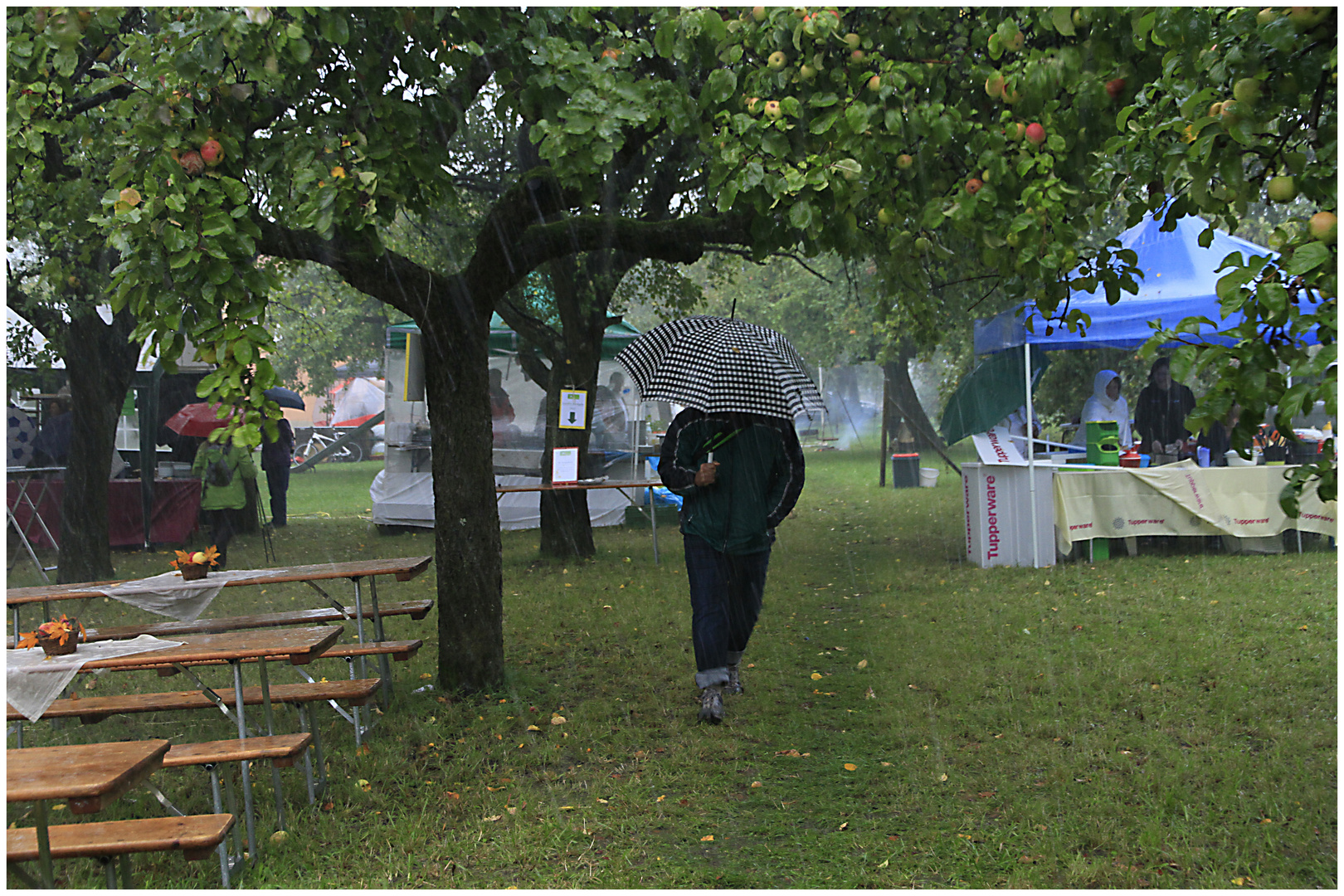 Impressionen vom Apfelerntepicknick 2011