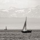 Impressionen vom Bodensee #1