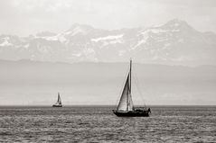 Impressionen vom Bodensee #1