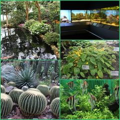 Impressionen vom Botanischen Garten in Liberec