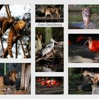Impressionen vom Duisburger Zoo