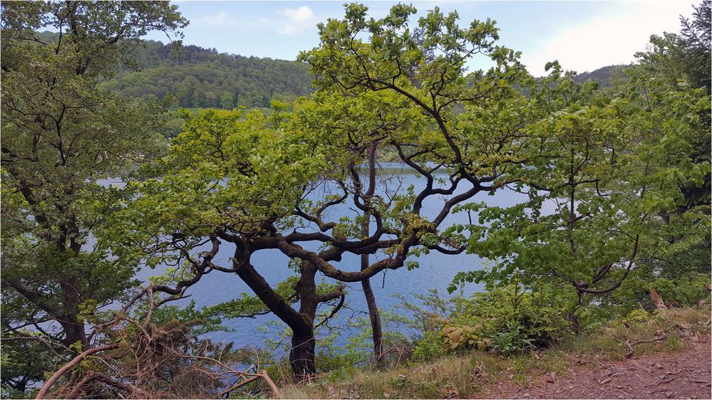 Impressionen vom Edersee 2 