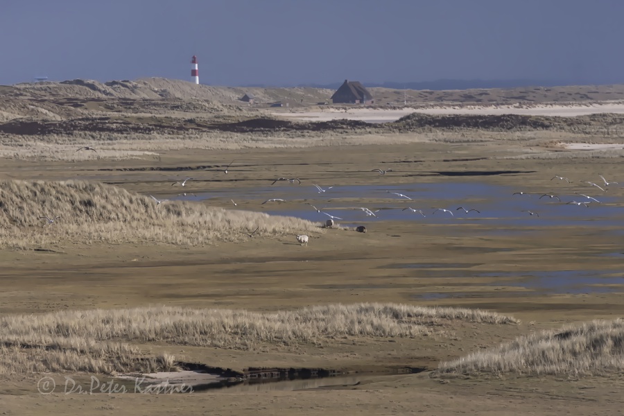 Impressionen vom "Ellenbogen" ...