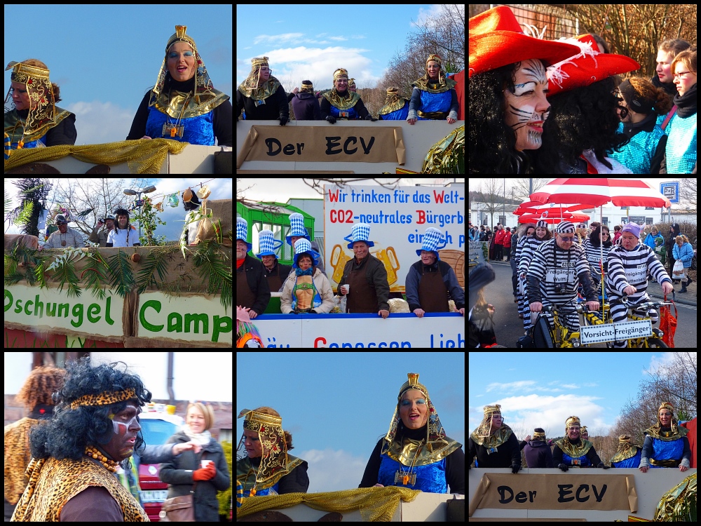 Impressionen vom Faschingsumzug in Wächtersbach