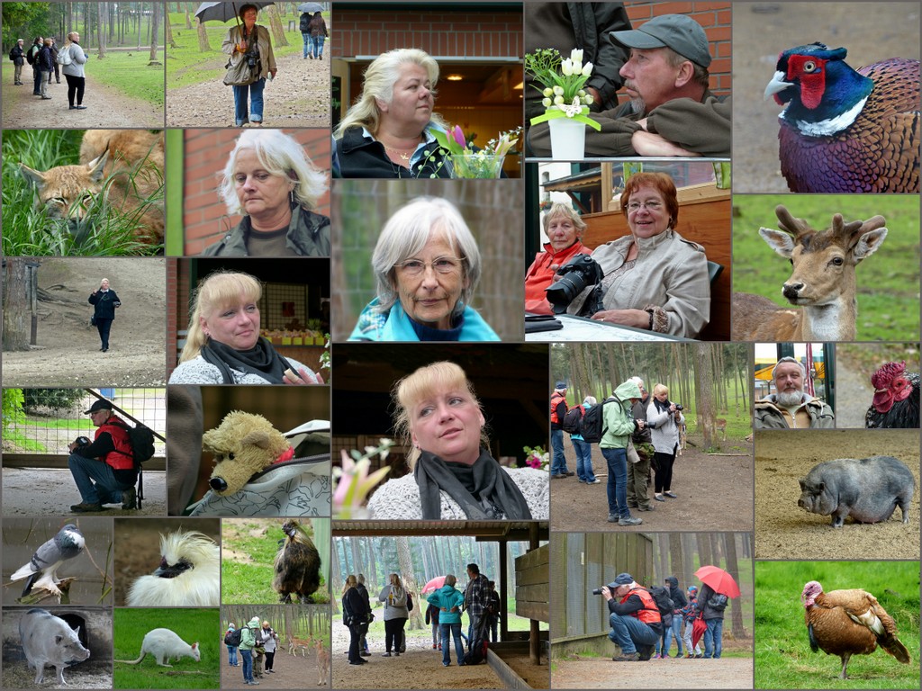 Impressionen vom FC-Treffen im Wildpark Granat !