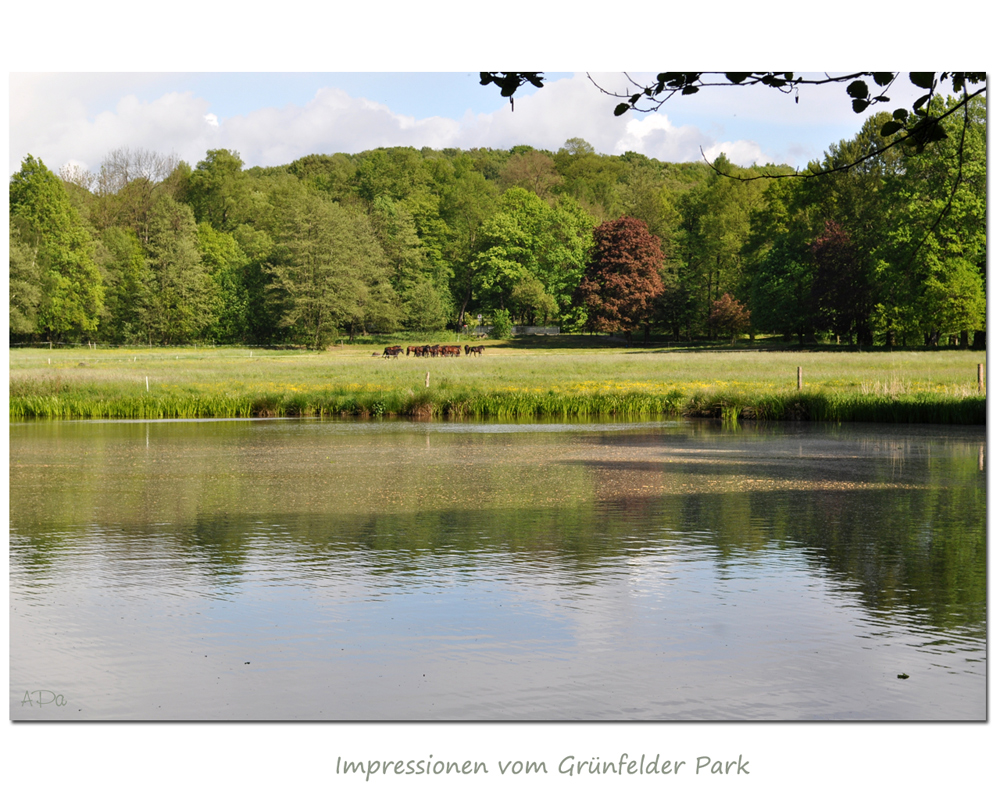 Impressionen vom Grünefelder Park (4)