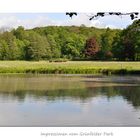 Impressionen vom Grünefelder Park (4)