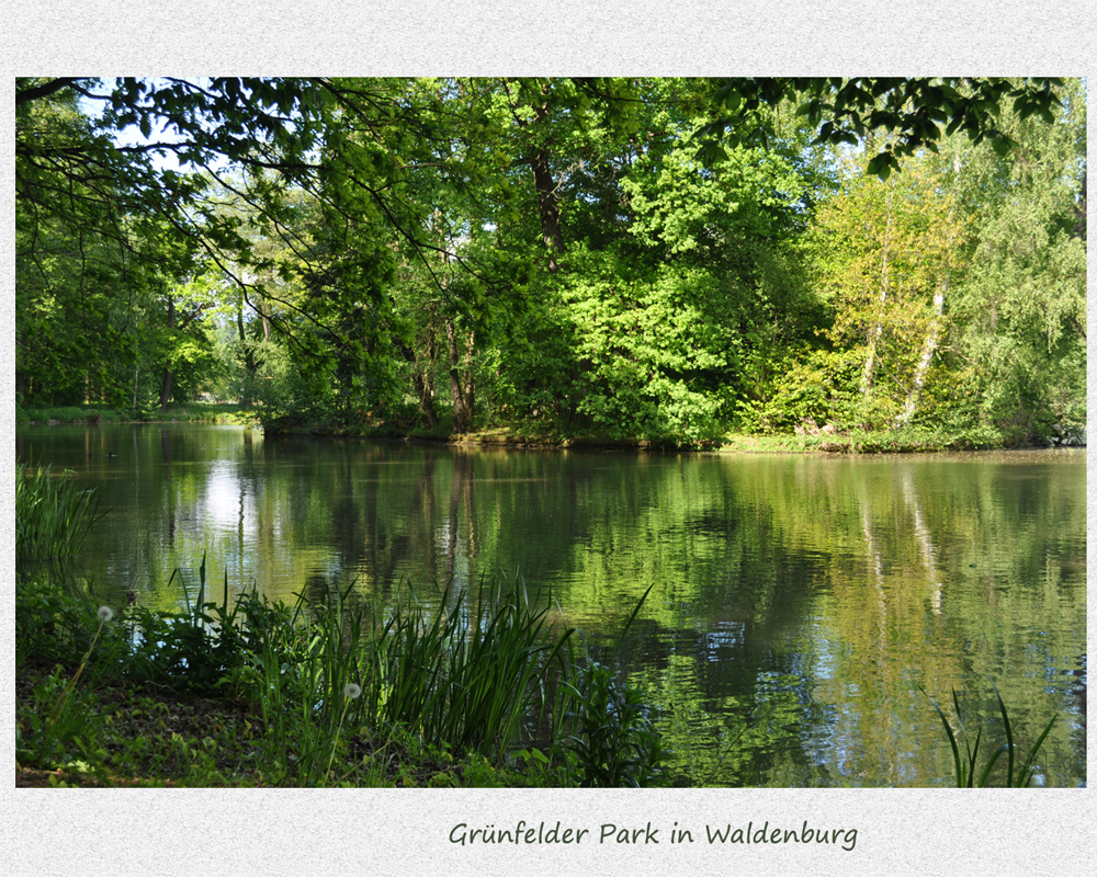Impressionen vom Grünfelder Park (3)