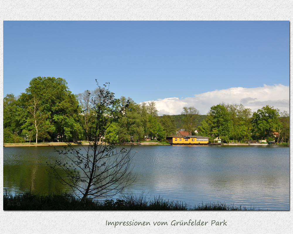 Impressionen vom Grünfelder Park (5)