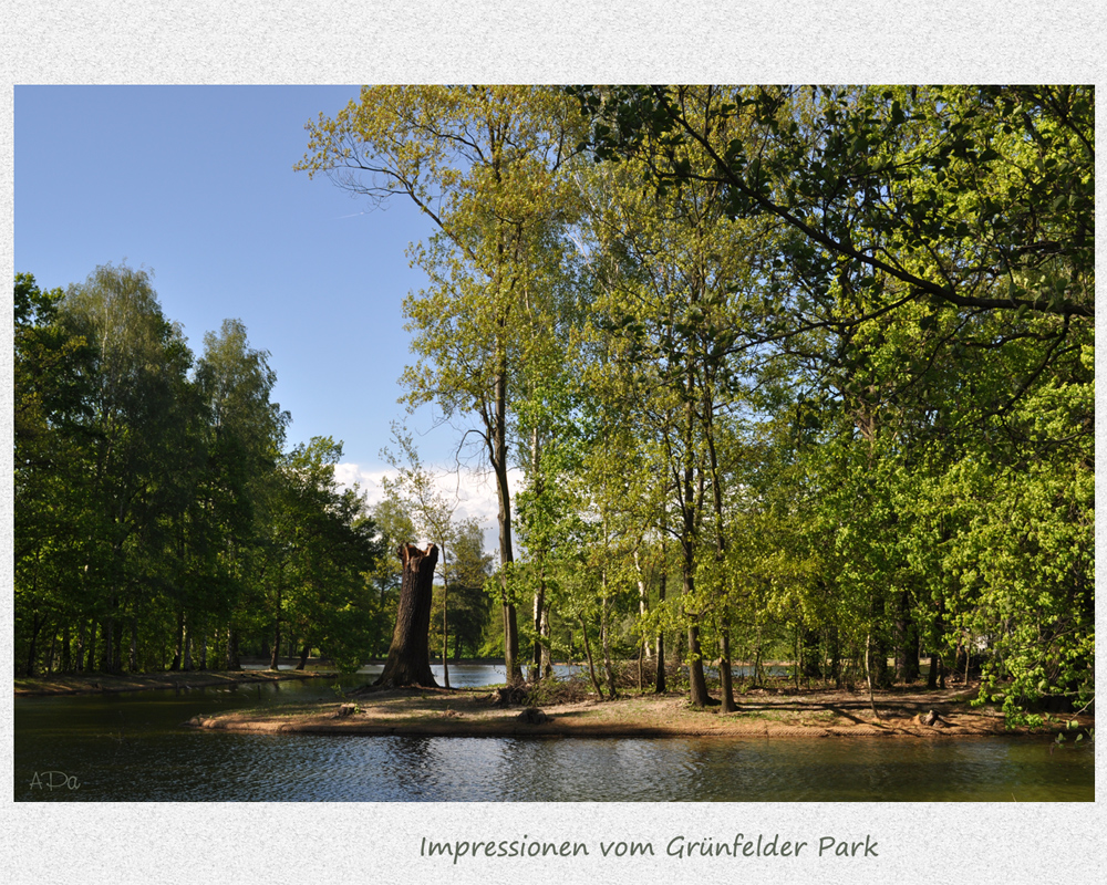 Impressionen vom Grünfelder Park (6)