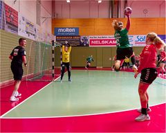 Impressionen vom Hallenhandball