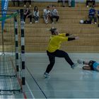 Impressionen vom Hallenhandball