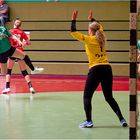 Impressionen vom Hallenhandball