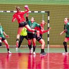 Impressionen vom Hallenhandball