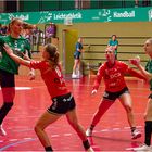 Impressionen vom Hallenhandball