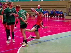 Impressionen vom Hallenhandball