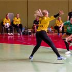 Impressionen vom Hallenhandball