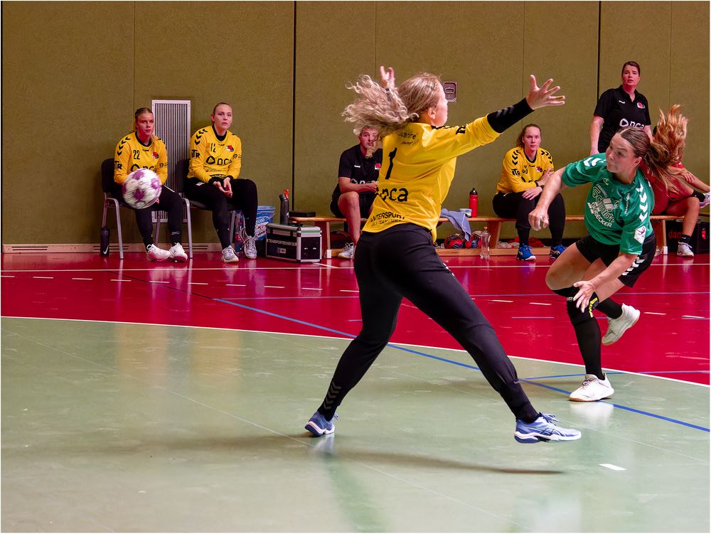 Impressionen vom Hallenhandball