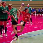 Impressionen vom Hallenhandball