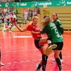 Impressionen vom Hallenhandball