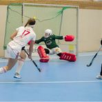 Impressionen vom Hallenhockey