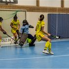 Impressionen vom Hallenhockey