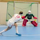 Impressionen vom Hallenhockey