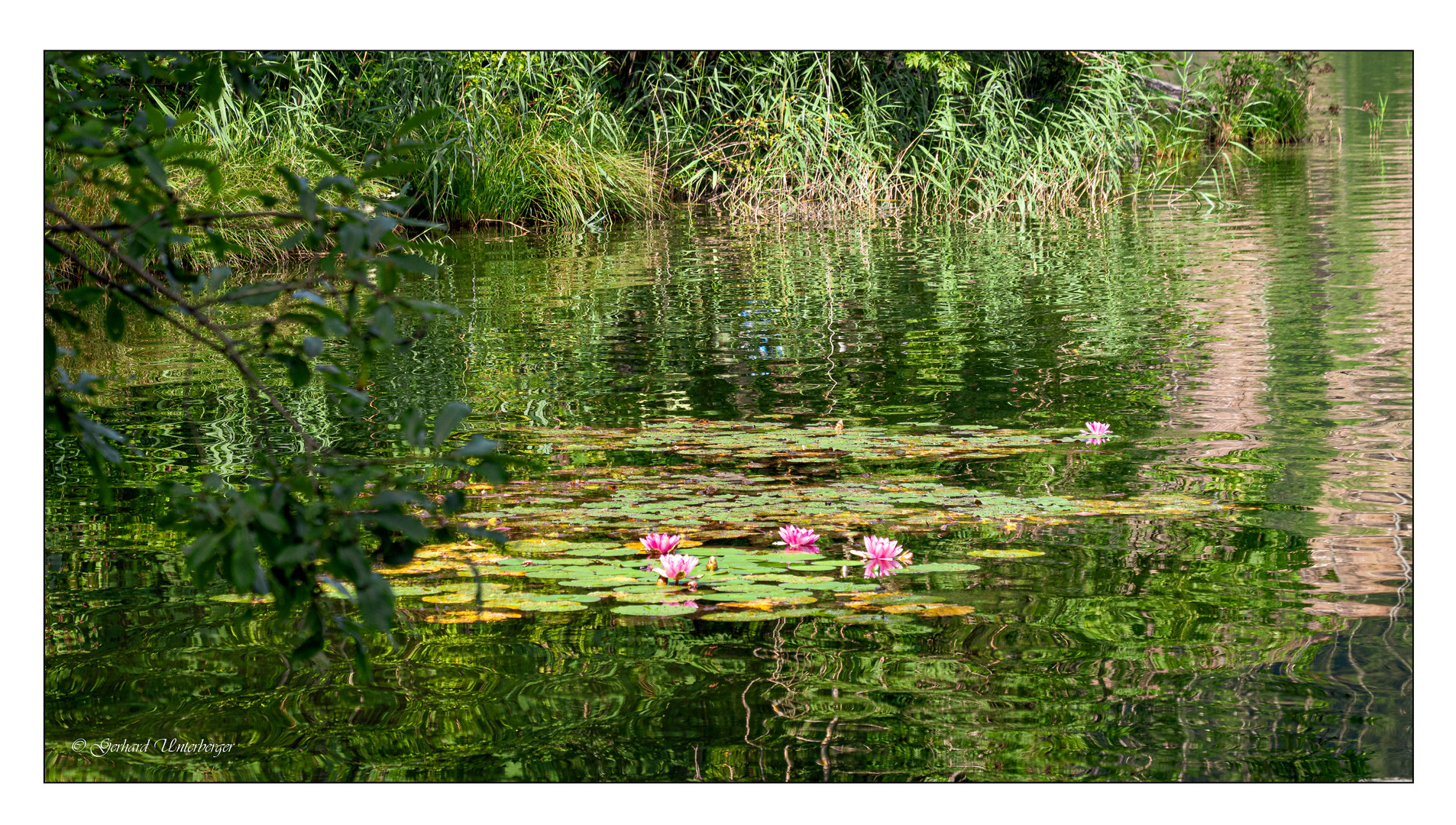 Impressionen vom Hechtsee