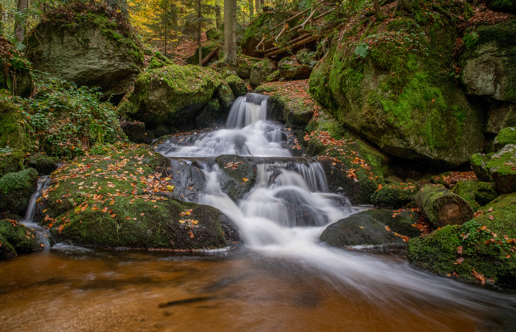 Impressionen vom Herbst