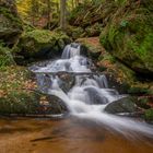 Impressionen vom Herbst