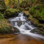 Impressionen vom Herbst